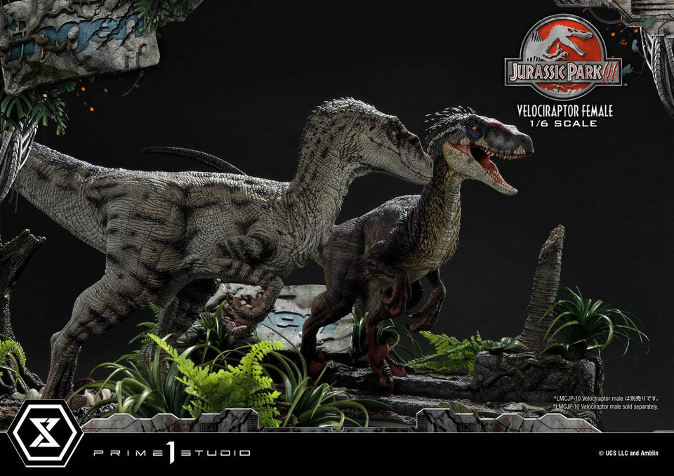 Prime 1 Studio Velociraptor Female (Bonus Version) 1/6 Scale Statue